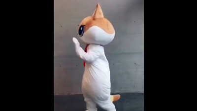 现场视频4